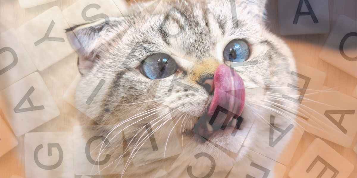 which word is supposed to be cat
