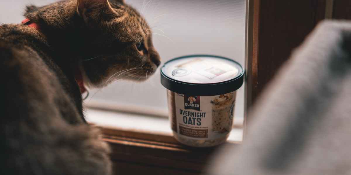 blue ridge beef kitten grind frozen raw cat food chub